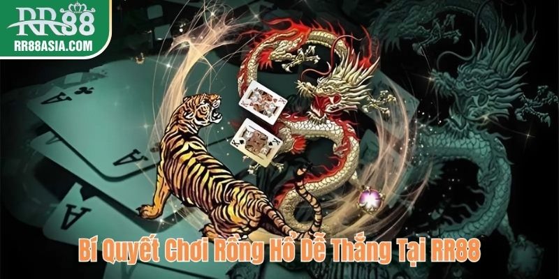 Bí quyết chơi rồng hổ dễ thắng tại RR88