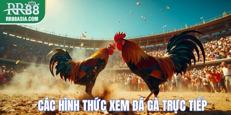 Hình thức đá gà trực tiếp qua các sới gà