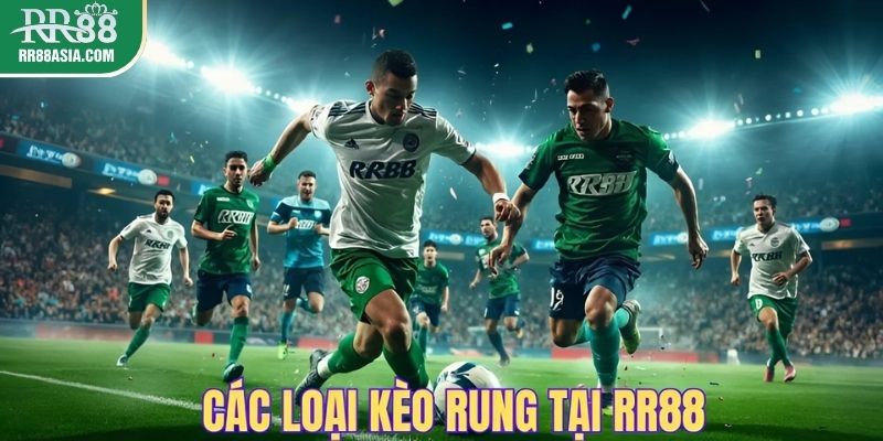 Các loại kèo rung phổ biến tại RR88