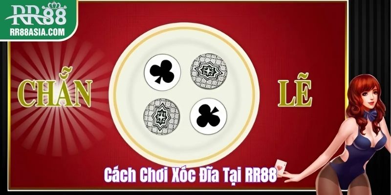 Cách chơi xóc đĩa hiệu quả tại RR88