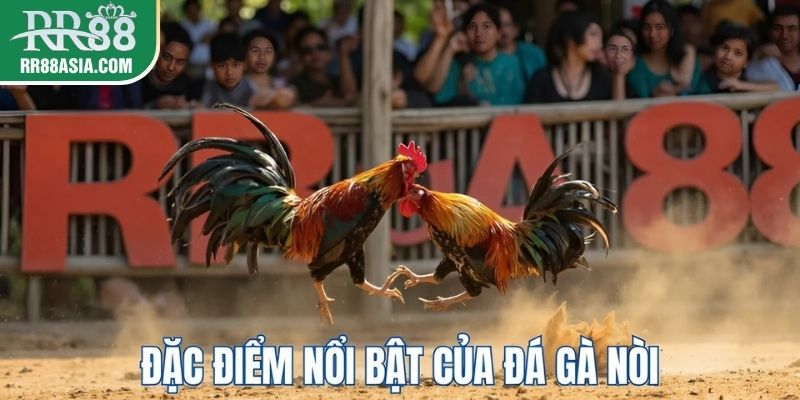 Đặc điểm nổi bật đá gà nòi