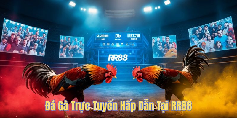 Đá gà trực tuyến hấp dẫn tại RR88
