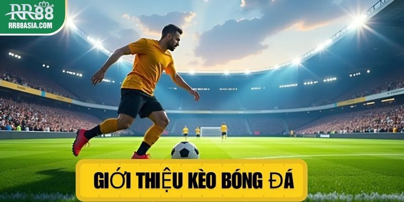Giới thiệu về cách soi kèo bóng đá RR88