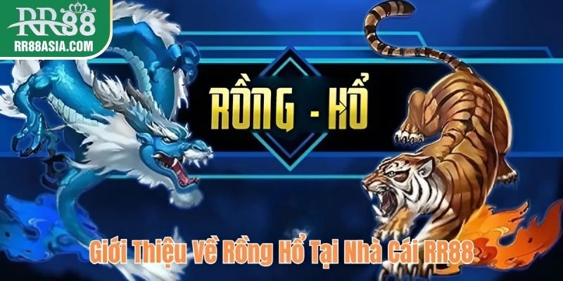 Giới thiệu về rồng hổ tại nhà cái RR88