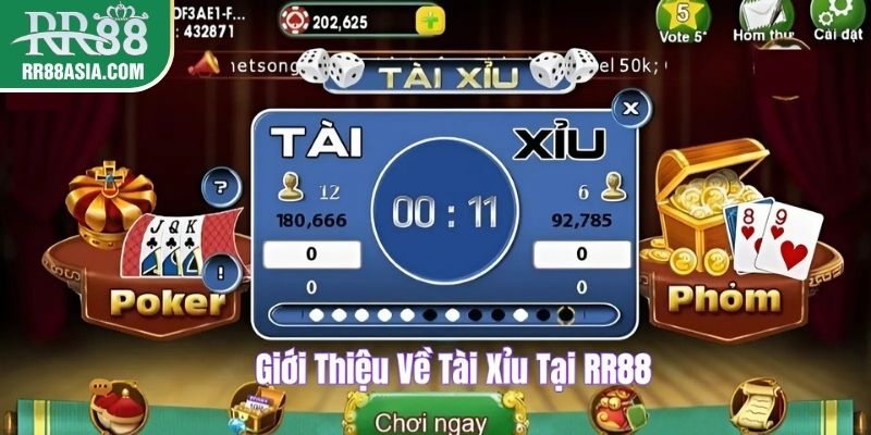 Giới thiệu về tài xỉu tại RR88