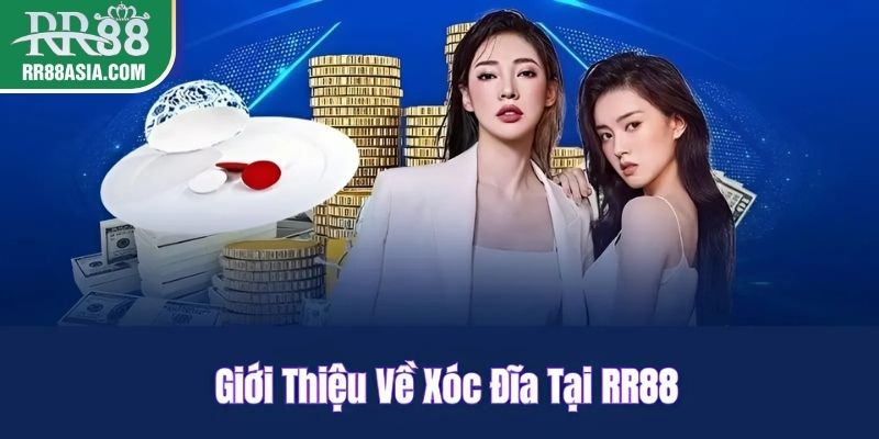 Giới thiệu về xóc đĩa tại RR88
