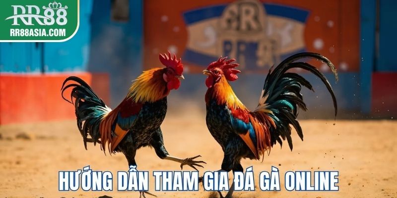 Hướng dẫn tham gia đá gà online