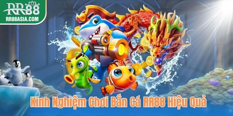 Kinh nghiệm chơi bắn cá RR88 hiệu quả