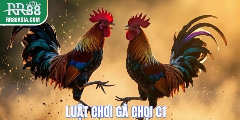Thể lệ và luật trong đá gà chọi c1