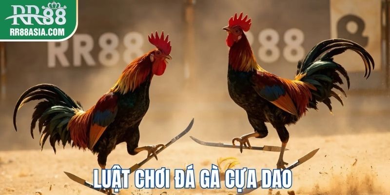 Luật chơi đá gà cựa dao