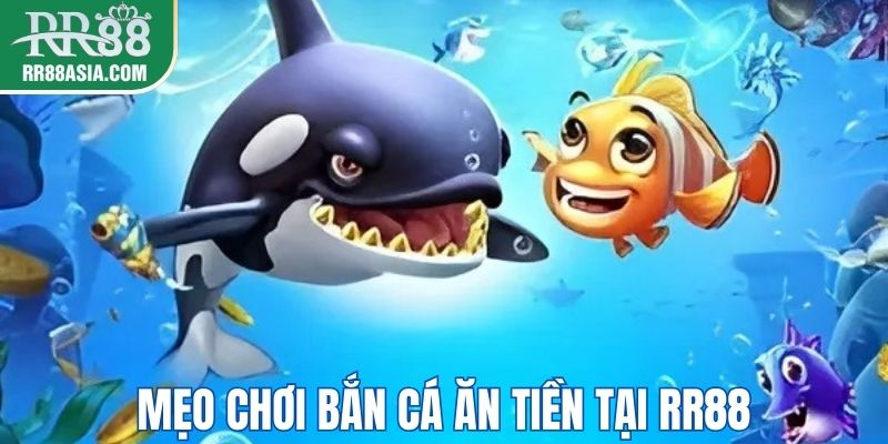 Một số mẹo chơi bắn cá ăn tiền tại RR88